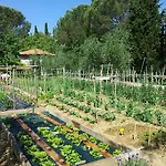 Podere San Quirico 팜스테이 카스텔누오보베라덴가