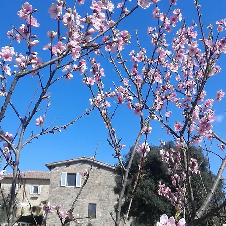 Vakantieboerderij Podere San Quirico *