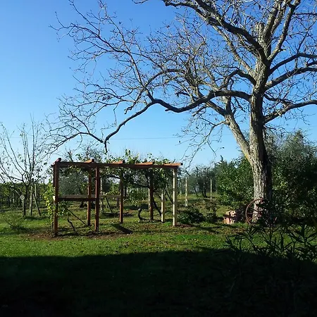 Podere San Quirico Vakantieboerderij Castelnuovo Berardenga