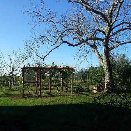 Podere San Quirico Vakantieboerderij Castelnuovo Berardenga