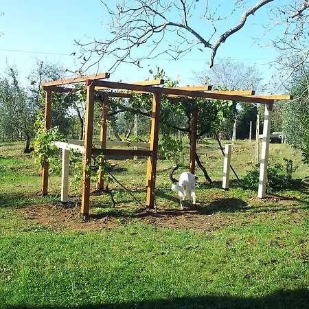 Podere San Quirico Vakantieboerderij
