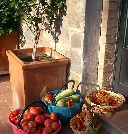 Vakantieboerderij Podere San Quirico *