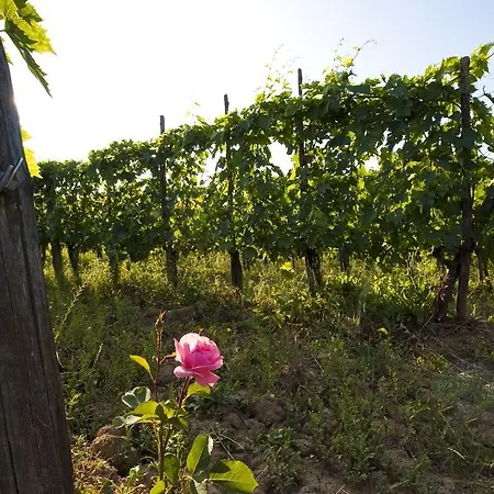 Farm stay Podere San Quirico *