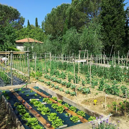 Podere San Quirico Vakantieboerderij Castelnuovo Berardenga